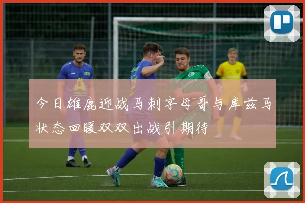今日雄鹿迎战马刺字母哥与库兹马状态回暖双双出战引期待