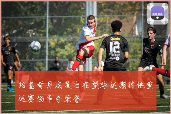 约基奇月底复出在望球迷期待他重返赛场争夺荣誉