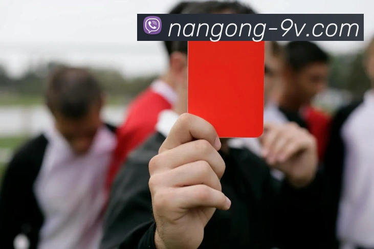南宫体育平台生态图